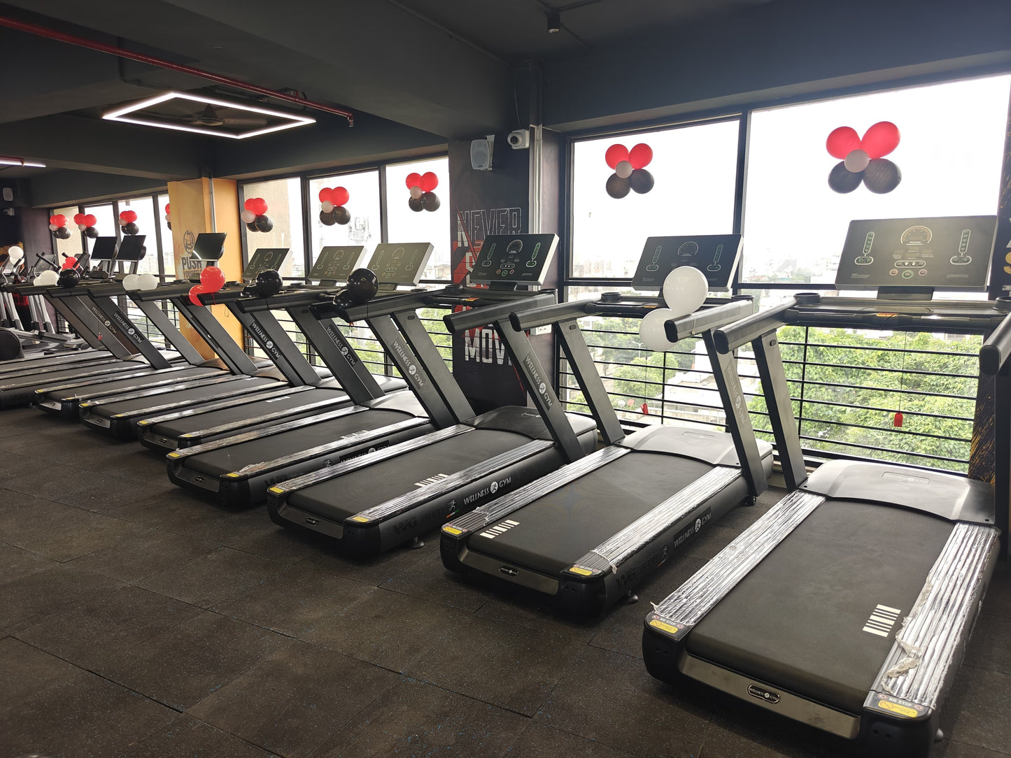 Commercial gym setup