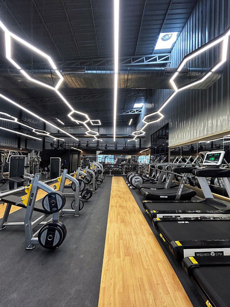 Commercial gym setup
