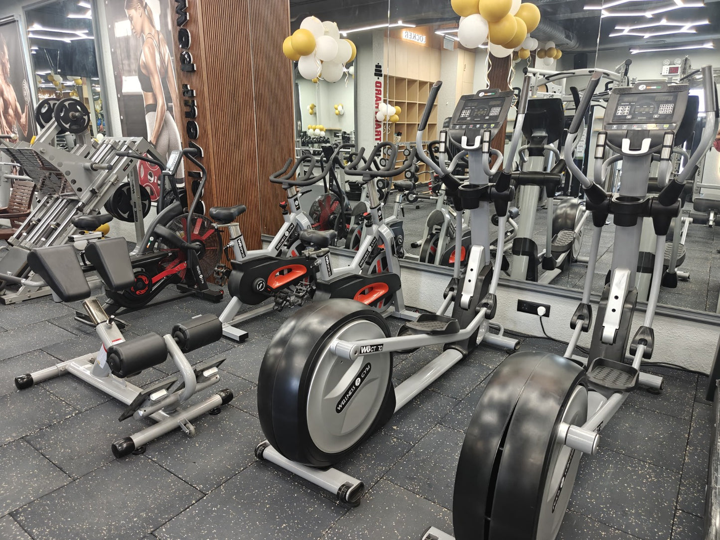 Commercial gym setup